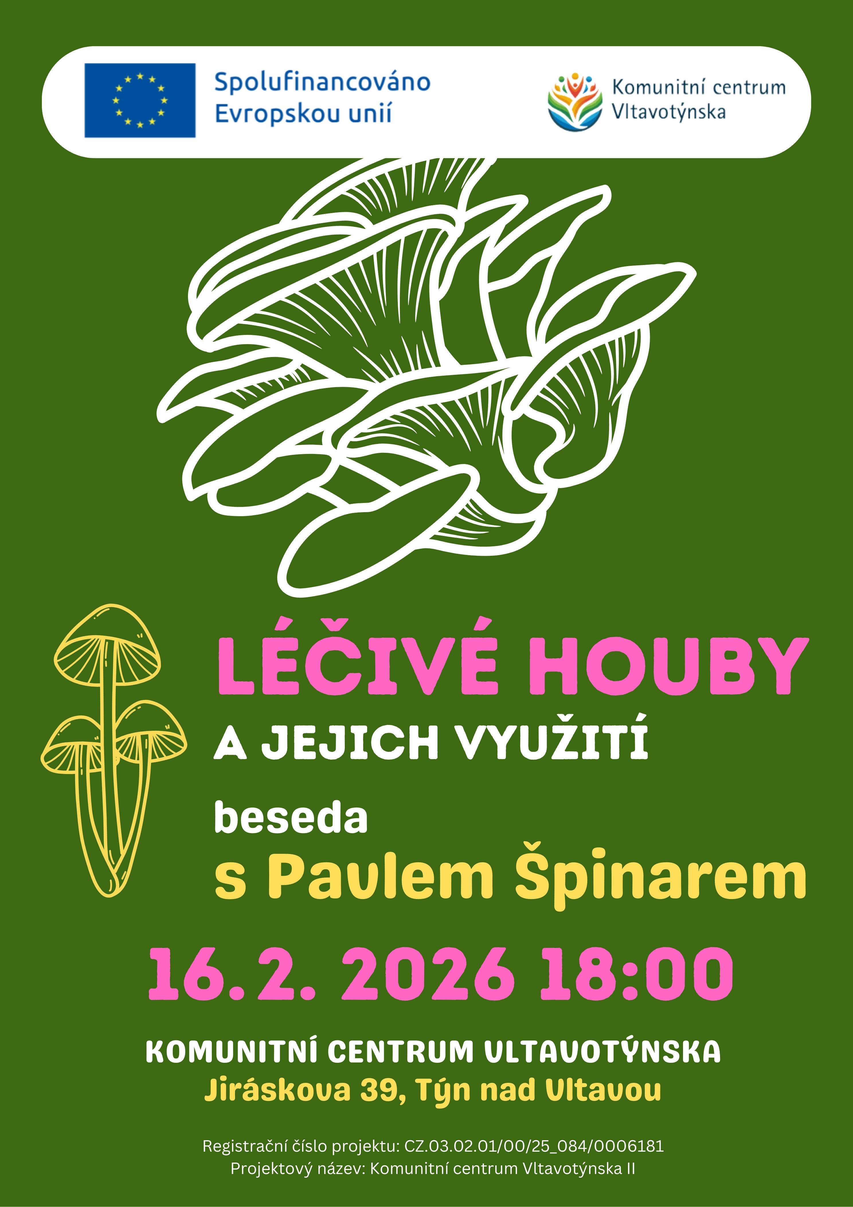 LÉČIVÉ HOUBY A JEJICH VYUŽITÍ