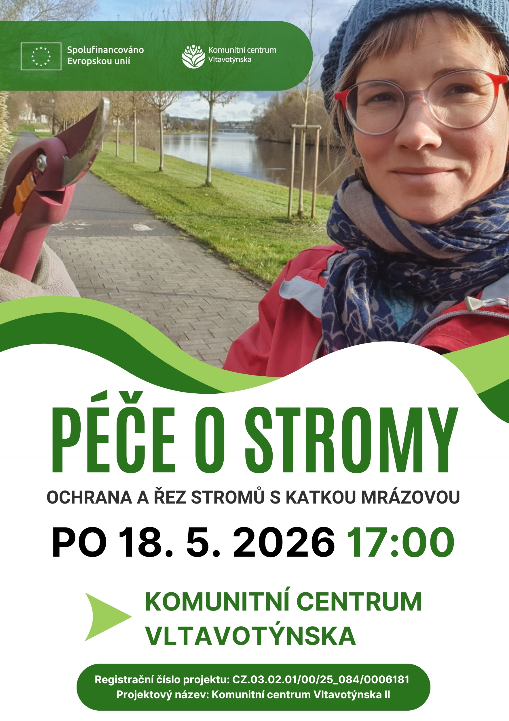PÉČE O STROMY: Ochrana a řez stromů